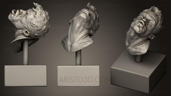Busts of heroes and monsters (BUSTH_0450) 3D model for CNC machine